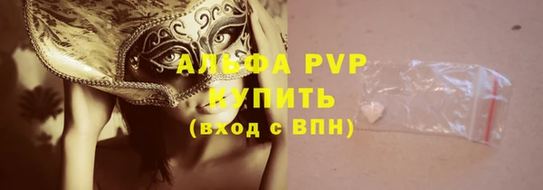 хмурый Алзамай
