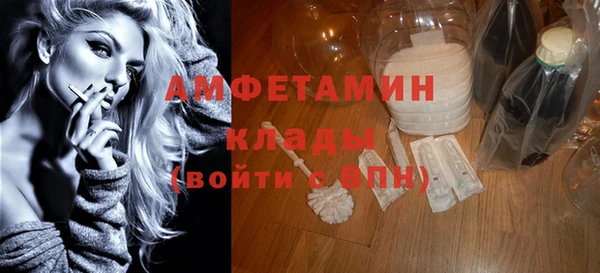хмурый Алзамай