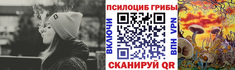 где купить наркоту  Яхрома  Галлюциногенные грибы Cubensis 